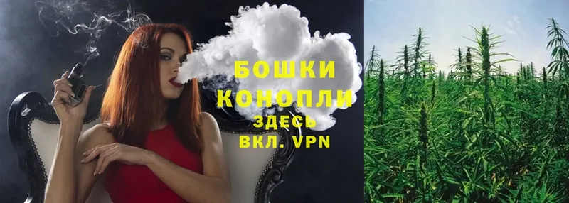 Конопля OG Kush  Бирюсинск 